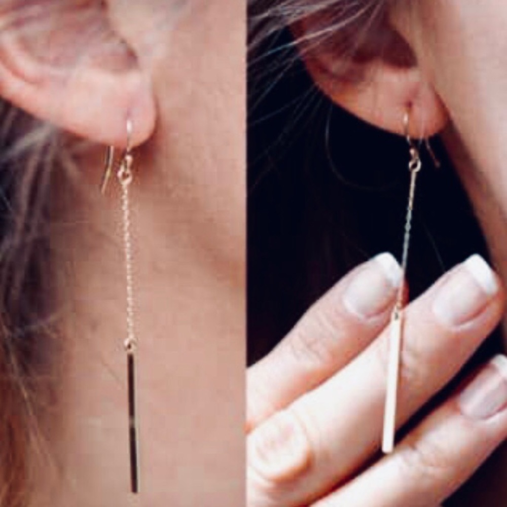 NWT Silver Long Vertical Bar Earrings